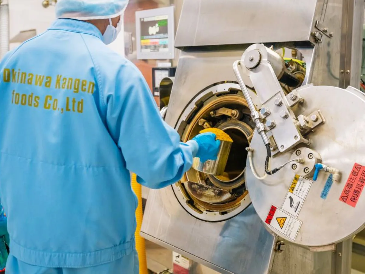 Autumn turmeric powder used to make Ukon tea is sterilized in a sterilizer.